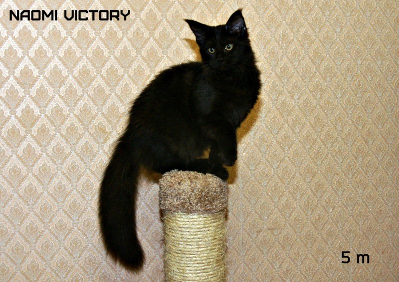 NAOMI VICTORY, 5 месяцев