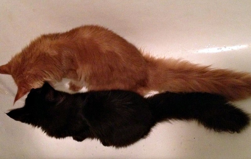 NAOMI VICTORY, 5,5 месяцев