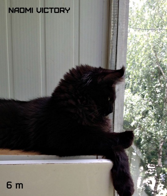 NAOMI VICTORY, 6 месяцев