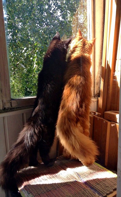 NAOMI VICTORY, 6 месяцев