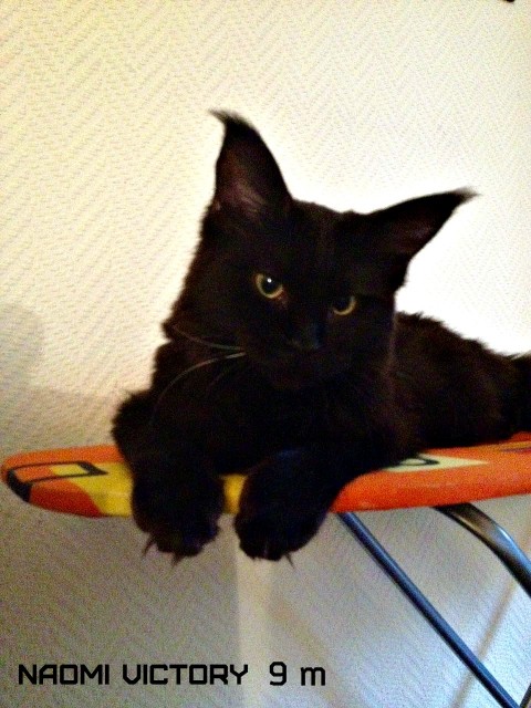 NAOMI VICTORY, 9 месяцев