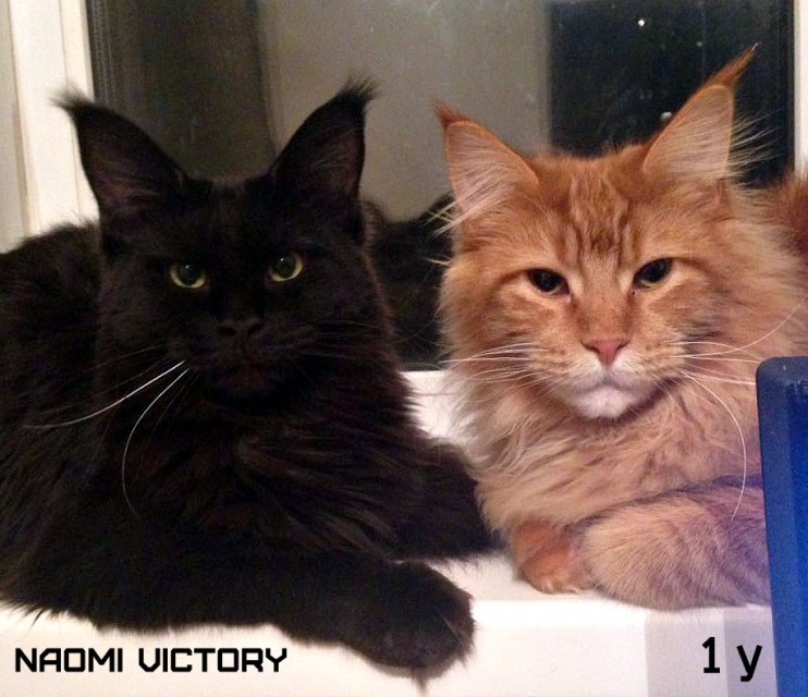 Naomi VICTORY, 12 месяцев