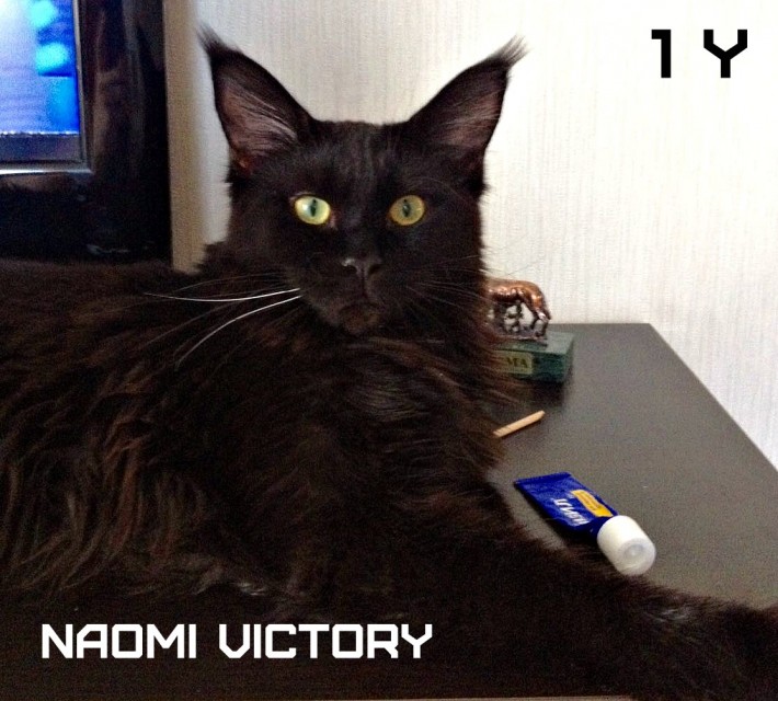 NAOMI VICTORY, 12 месяцев