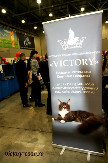 КЭТСБУРГ - 2016, VICTORY