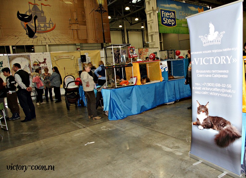 КЭТСБУРГ - 2016, VICTORY