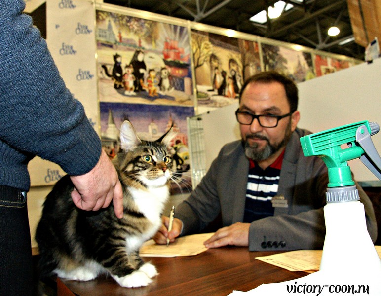 КЭТСБУРГ - 2016, VICTORY