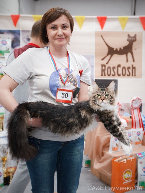 Bonita Victory, 1-2 мая 2016 "Мир, кот, май"