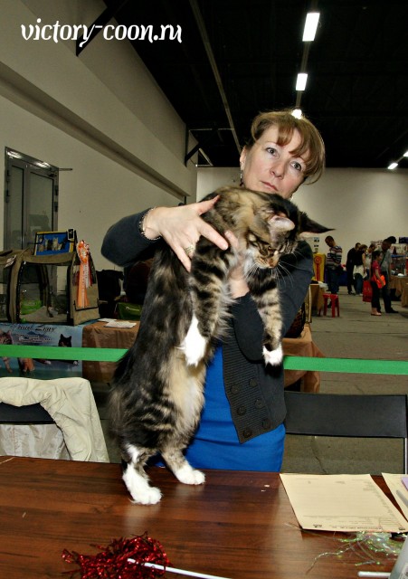 Bonita Victory, 1-2 мая 2016 "Мир, кот, май"