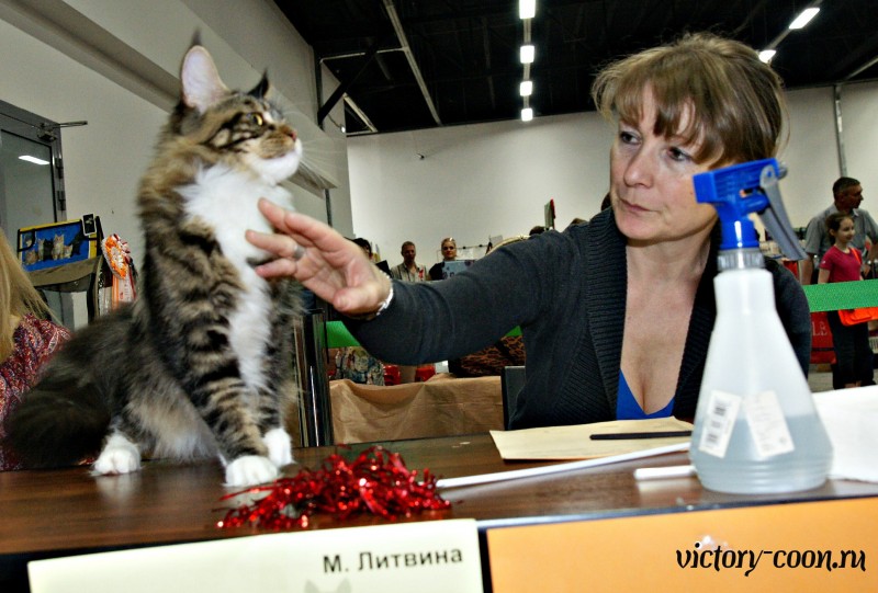 Bonita Victory, 1-2 мая 2016 "Мир, кот, май"