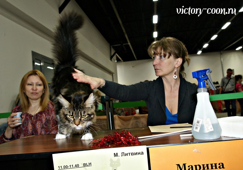 Bonita Victory, 1-2 мая 2016 "Мир, кот, май"