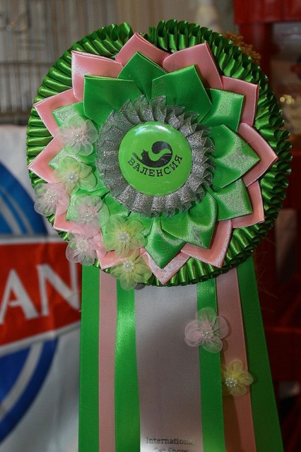 Bonita Victory, 7-9 мая 2016 "Лучший весенний кот - 2016"