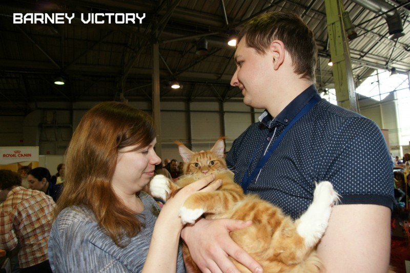 Barney Victory, 7-9 мая 2016 "Лучший весенний кот - 2016"