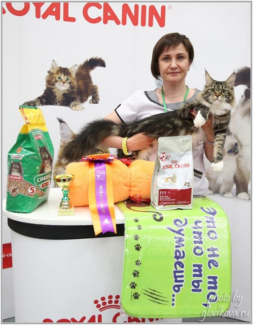 Bonita Victory, 28-29 мая 2016, Бомонд кошек - 2016
