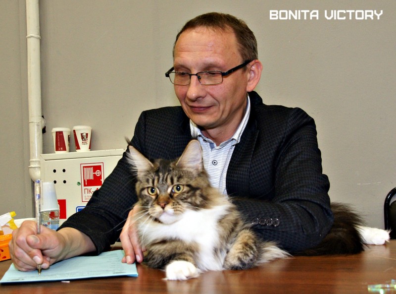 Bonita Victory, 28-29 мая 2016, Бомонд кошек - 2016