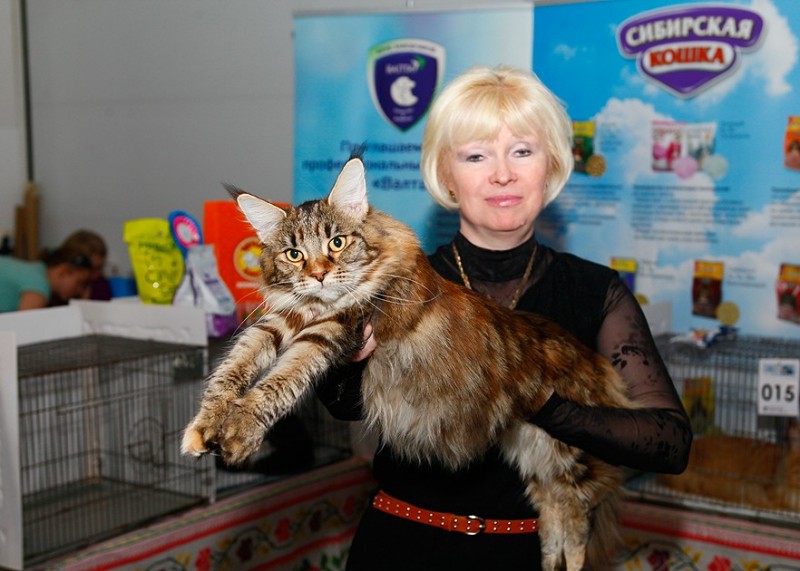 Ulrika Victory, 10 месяцев, Фрея и ОЛСК 20-21 мая 2017 г.