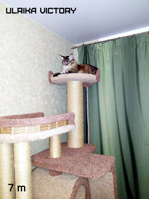 Ulrika Victory, 7 m