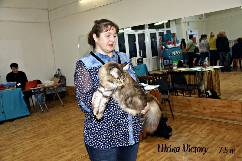 Ulrika Victory, 7,5 месяцев, Фрея, 18-19 февраля 2017 г.