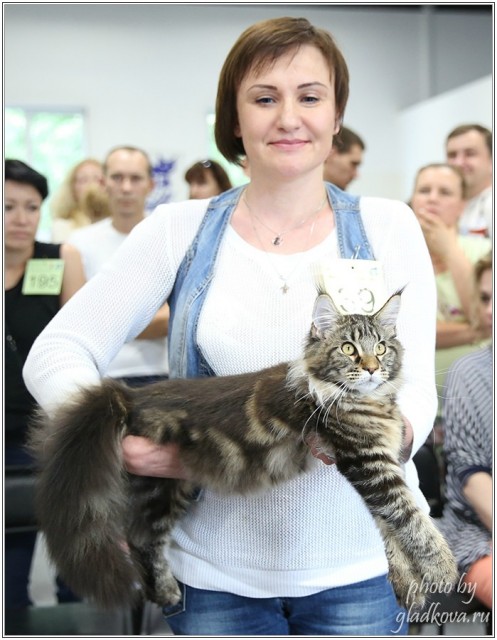 Ultra Victory, КЛК Москва, 23-24 июля 2016