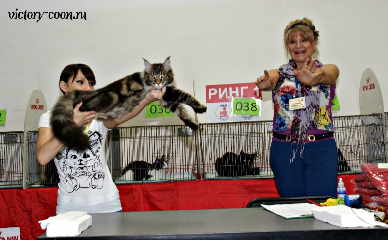 Ultra Victory, КЛК Москва, 23-24 июля 2016