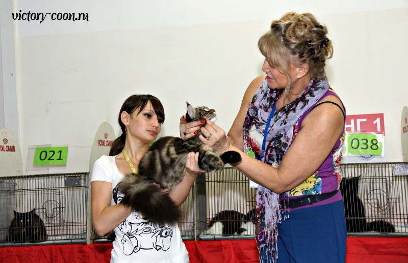 Ultra Victory, КЛК Москва, 23-24 июля 2016