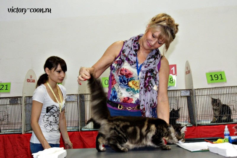 Ultra Victory, КЛК Москва, 23-24 июля 2016