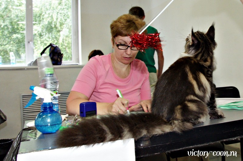 Ultra Victory, КЛК Москва, 23-24 июля 2016