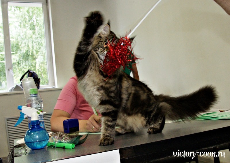 Ultra Victory, КЛК Москва, 23-24 июля 2016