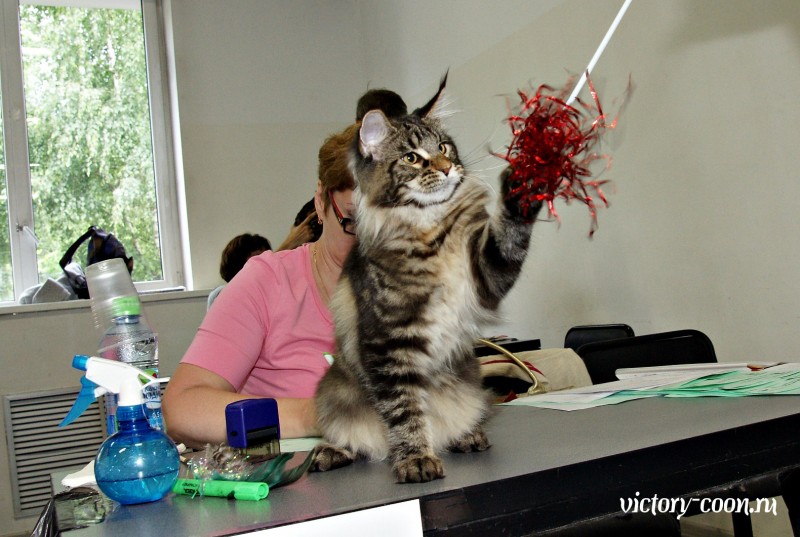 Ultra Victory, КЛК Москва, 23-24 июля 2016