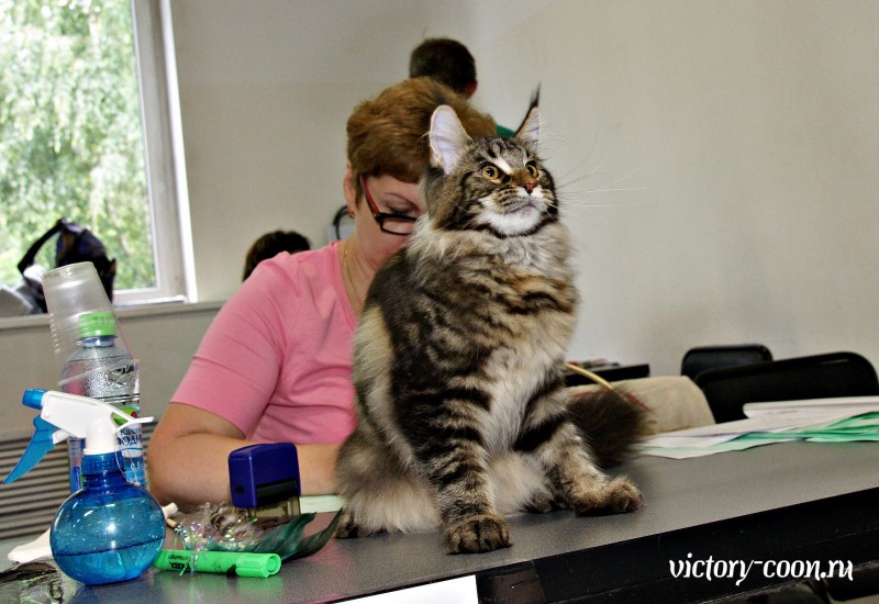 Ultra Victory, КЛК Москва, 23-24 июля 2016