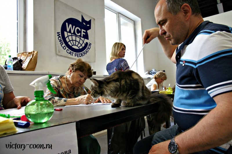 Ultra Victory, КЛК Москва, 23-24 июля 2016