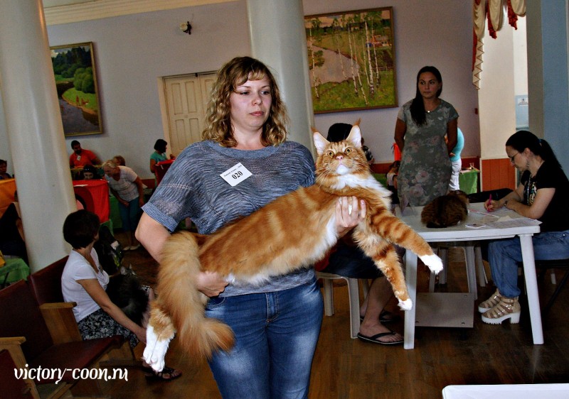 Barney Victory, 27-28 августа 2016, Летний Альянс в Новомосковске