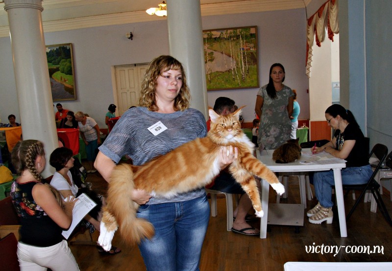 Barney Victory, 27-28 августа 2016, Летний Альянс в Новомосковске