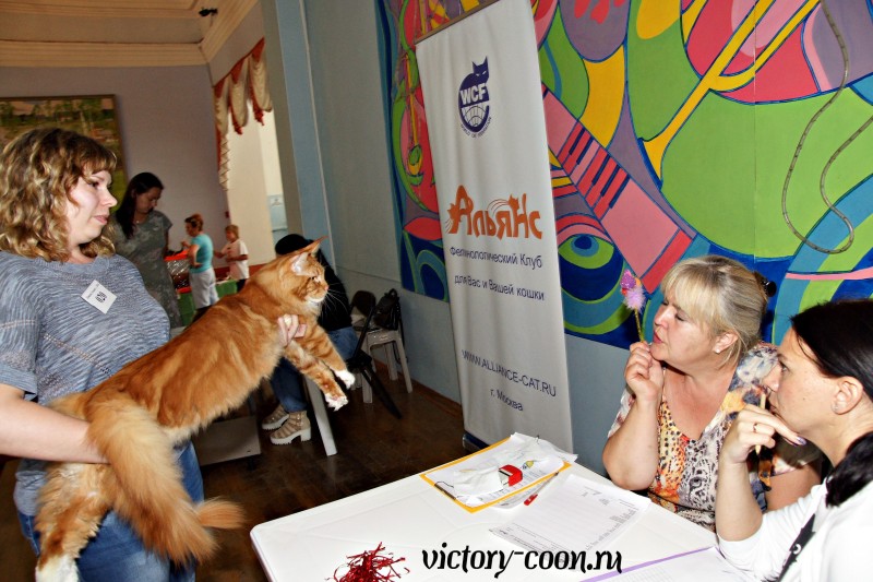 Barney Victory, 27-28 августа 2016, Летний Альянс в Новомосковске