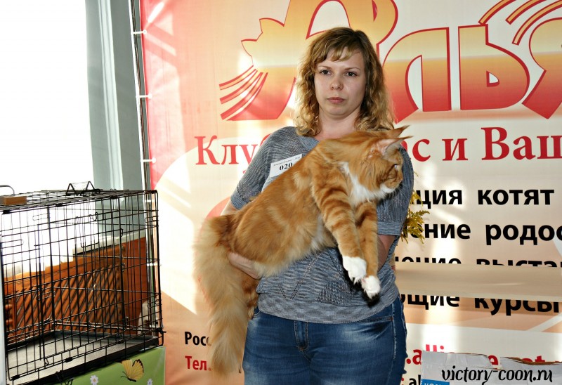 Barney Victory, 27-28 августа 2016, Летний Альянс в Новомосковске