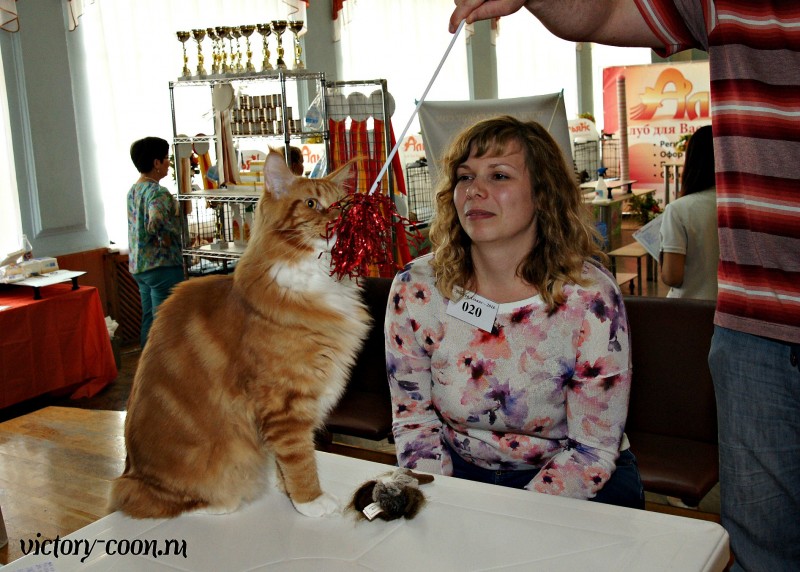 Barney Victory, 27-28 августа 2016, Летний Альянс в Новомосковске