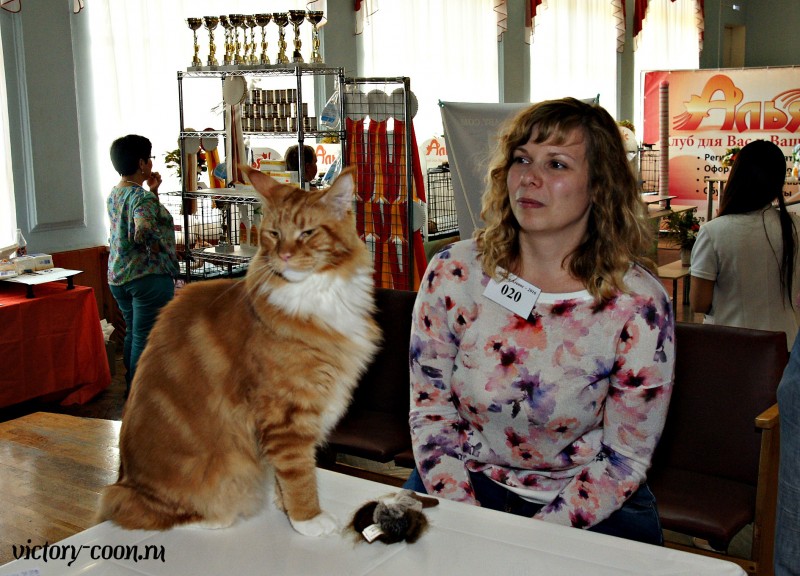 Barney Victory, 27-28 августа 2016, Летний Альянс в Новомосковске