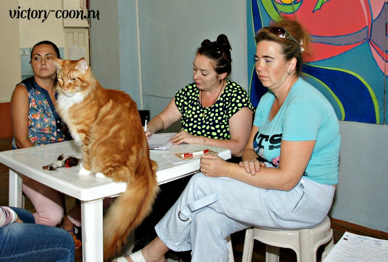 Barney Victory, 27-28 августа 2016, Летний Альянс в Новомосковске