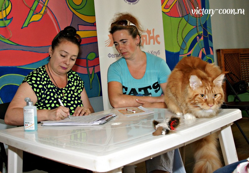 Barney Victory, 27-28 августа 2016, Летний Альянс в Новомосковске