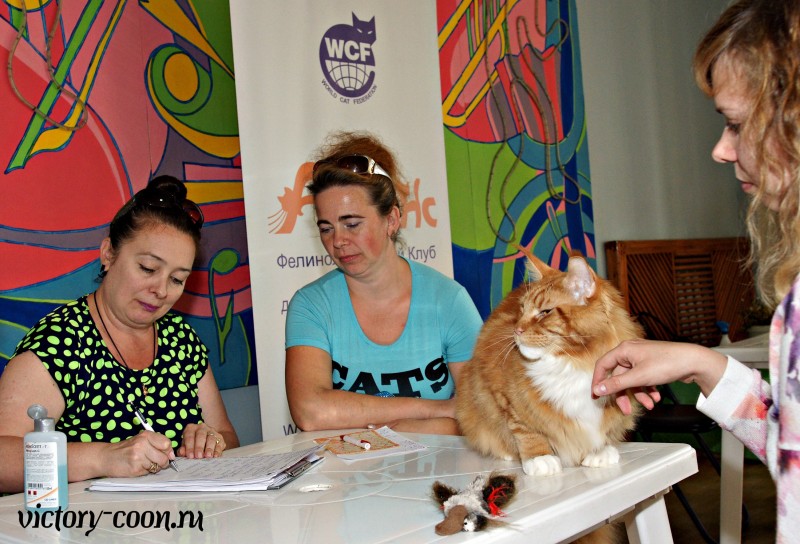 Barney Victory, 27-28 августа 2016, Летний Альянс в Новомосковске