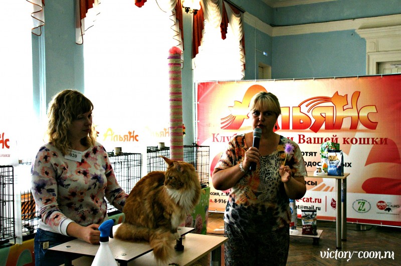 Barney Victory, 27-28 августа 2016, Летний Альянс в Новомосковске