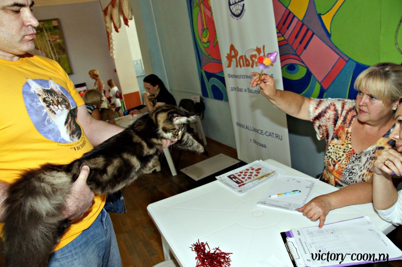 Ultra Victory, 27-28 августа 2016, Летний Альянс в Новомосковске