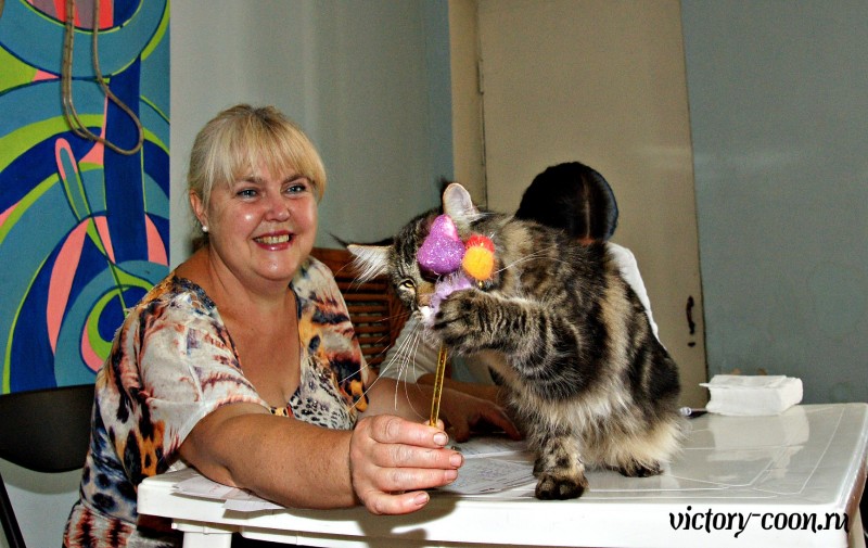 Ultra Victory, 27-28 августа 2016, Летний Альянс в Новомосковске