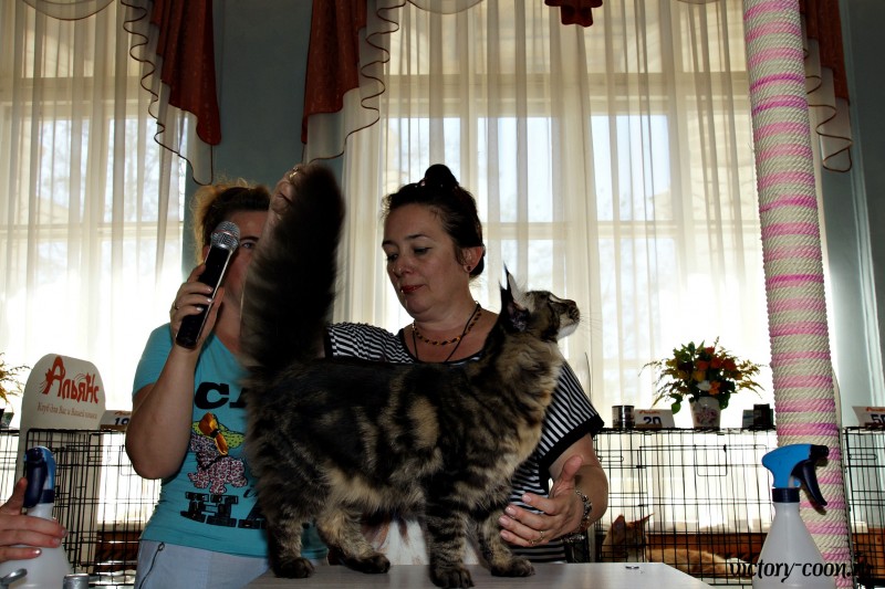 Ultra Victory, 27-28 августа 2016, Летний Альянс в Новомосковске