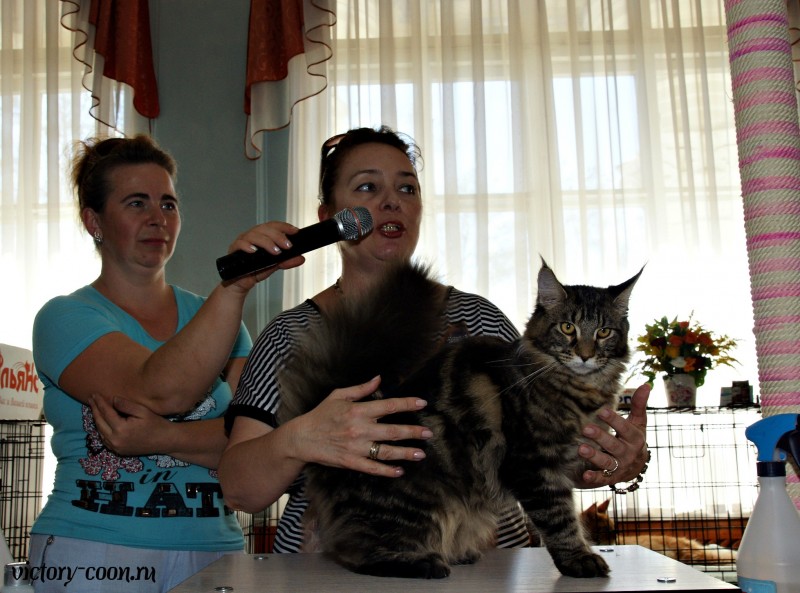 Ultra Victory, 27-28 августа 2016, Летний Альянс в Новомосковске