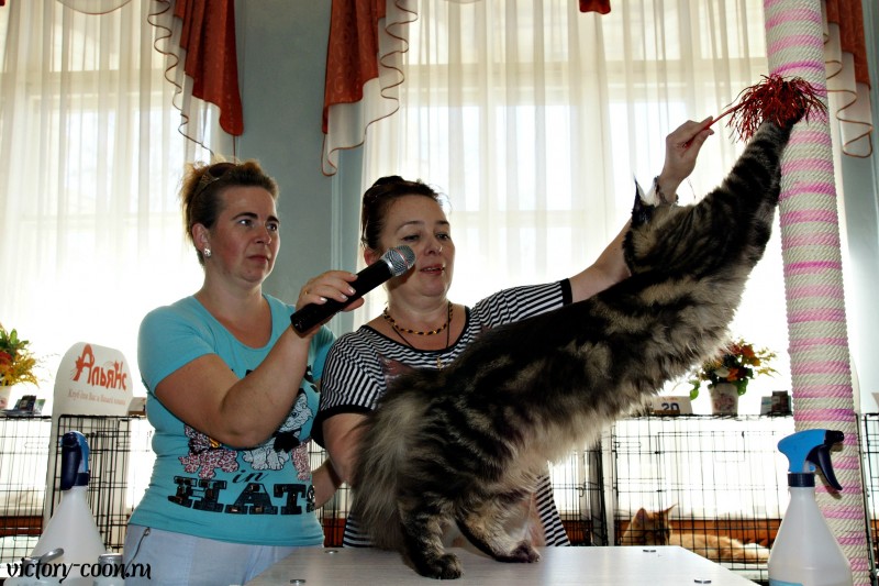 Ultra Victory, 27-28 августа 2016, Летний Альянс в Новомосковске