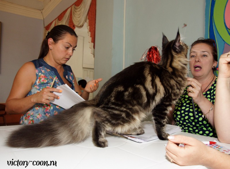 Ultra Victory, 27-28 августа 2016, Летний Альянс в Новомосковске