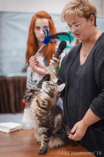 Ultra Victory, РосКошная осень в Сокольниках, 16-17 октября 2016 г.