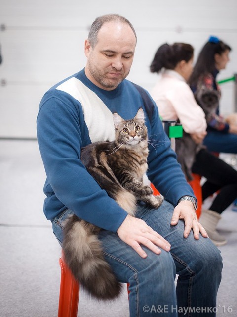 Ultra Victory, РосКошная осень в Сокольниках, 16-17 октября 2016 г.