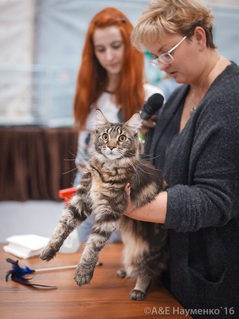 Ultra Victory, РосКошная осень в Сокольниках, 16-17 октября 2016 г.