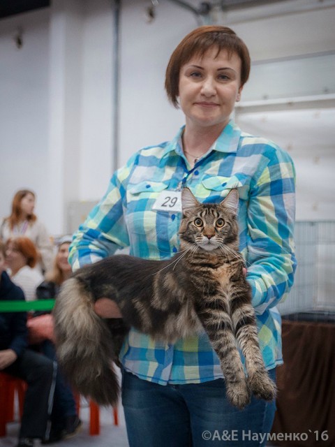 Ultra Victory, РосКошная осень в Сокольниках, 16-17 октября 2016 г.